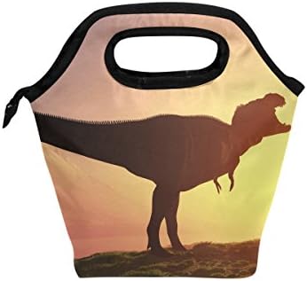 HEOEH pericol dinozaur Sundown prânz sac Cooler Tote sac izolate fermoar prânz cutii Geantă de mână pentru birou școală în
