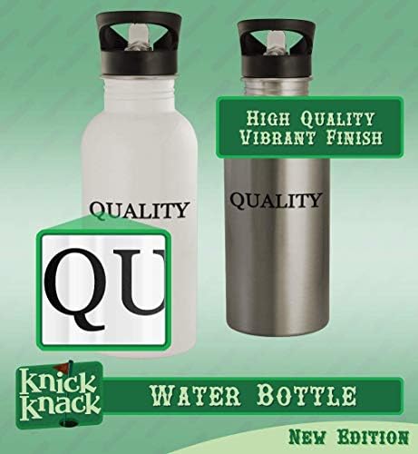 Cadouri Knick Knack Salomone - Sticlă de apă din oțel inoxidabil 20oz, argintiu