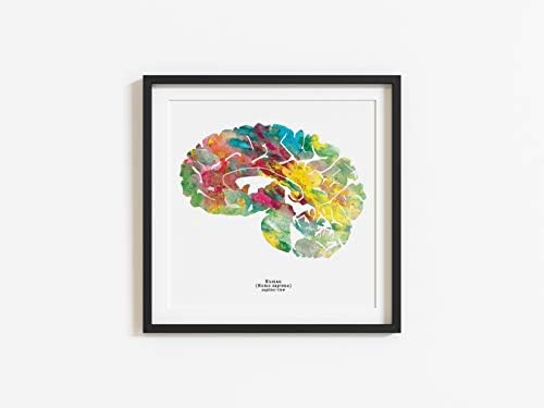 J. Sayuri Brain Art - 12 x 12 print cu acuarelă sagitală - Lucrări de artă neuroștiință și psihologie - Absolvire și cadouri