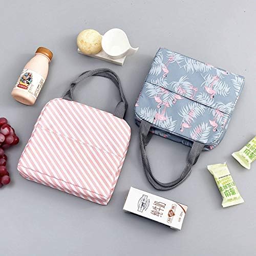 NC model funcțional Cooler Lunch Box portabil izolat Canvas Lunch Bag Thermal Food Picnic Lunch Bags pentru femei copii