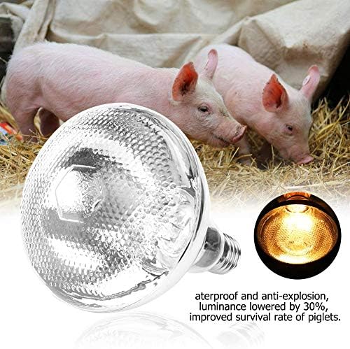 Realm-Ark 1pc Pig Piglet Lampa de căldură groasă de sticlă limpede sticla dură rezistență la explozie infraroșu lampă de încălzire