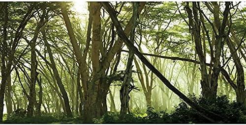 AWERT 24x12 inch pădure terariu fundal Rainforest acvariu fundal soare ceață verde copac Reptile Habitat fundal vinil