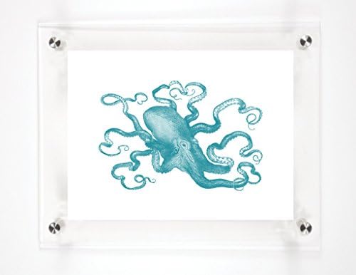 Octopus Aqua, 9x12in.