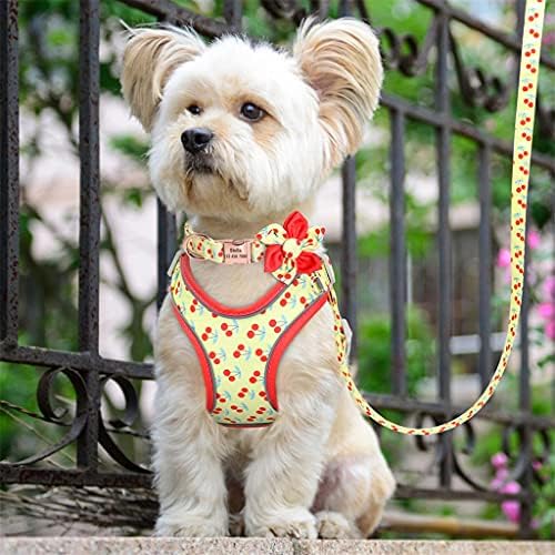 Harnașă pentru câini tipărită wzhsdkl cu guler de câine personalizat pentru câini de câine din nylon, guler lesă personalizat
