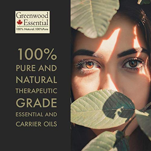Greenwood Essential Essential Pure Moringa Ulei de moringa terapeutic natural presat la rece pentru îngrijire personală