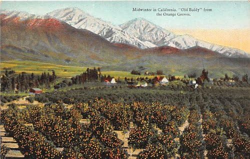 Orange County, California Postcard