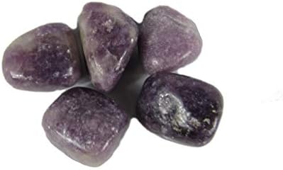 CircuitOffice 5 Piece Lepidolite Tumbled Stone-pietre de vindecare, vindecare metafizică, pietre Chakra pentru Wicca, Reiki,
